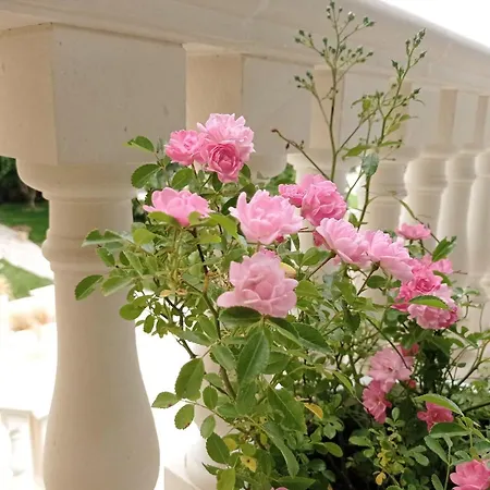 Bed and Breakfast Vigne Vecchie 2*