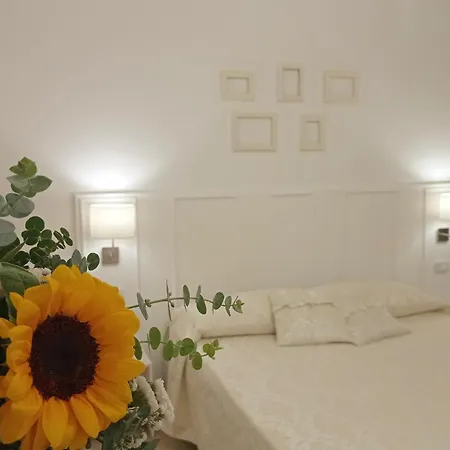 Bed & Breakfast Vigne Vecchie 2*