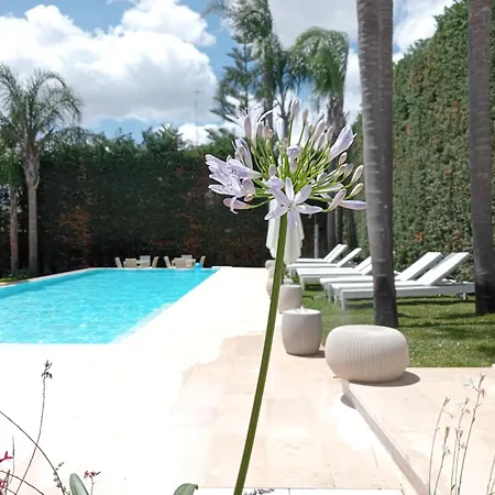 Vigne Vecchie Bed & Breakfast