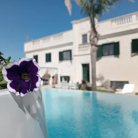 Vigne Vecchie Bed & Breakfast