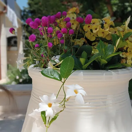 Vigne Vecchie 住宿加早餐酒店 卡萨马塞拉