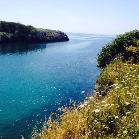 Vigne Vecchie Bed & Breakfast Casamassella